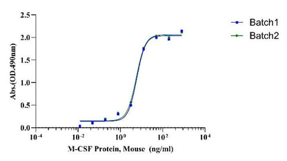 M-CSF Protein, Mouse