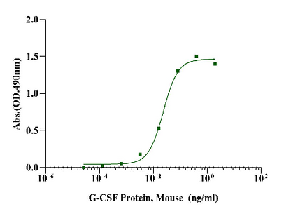 G-CSF Protein, Mouse
