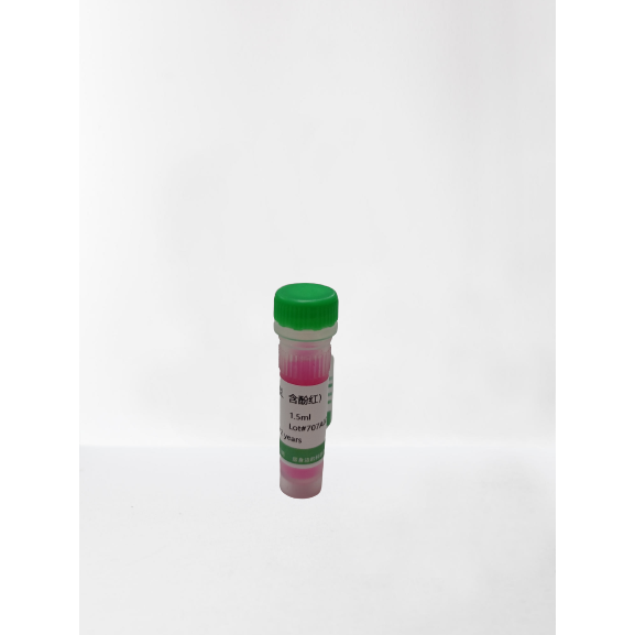 Product image media