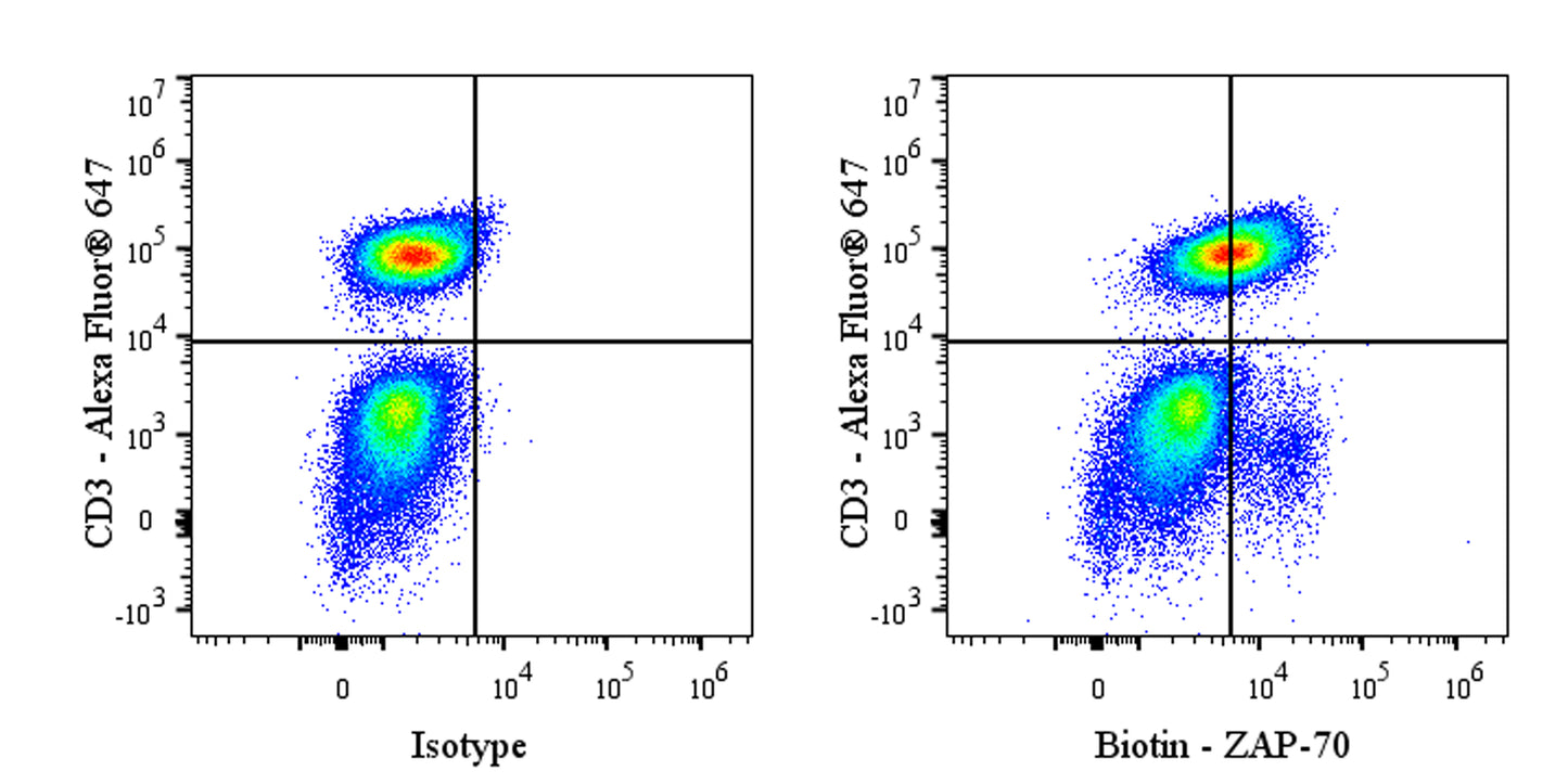 Biotin Mouse Anti-Human/Mouse ZAP-70 Antibody (1E7.2)