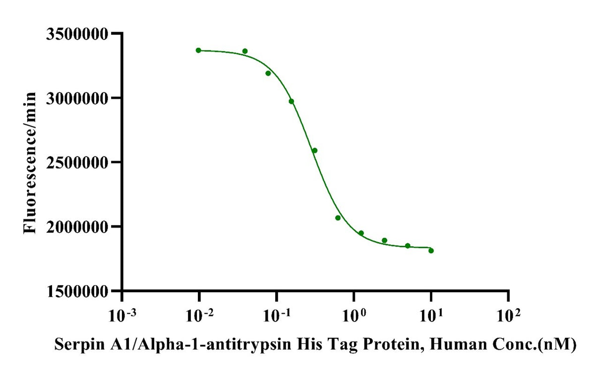 Serpin A1/Alpha-1-antitrypsin His Tag Protein, Human