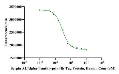 Serpin A1/Alpha-1-antitrypsin His Tag Protein, Human