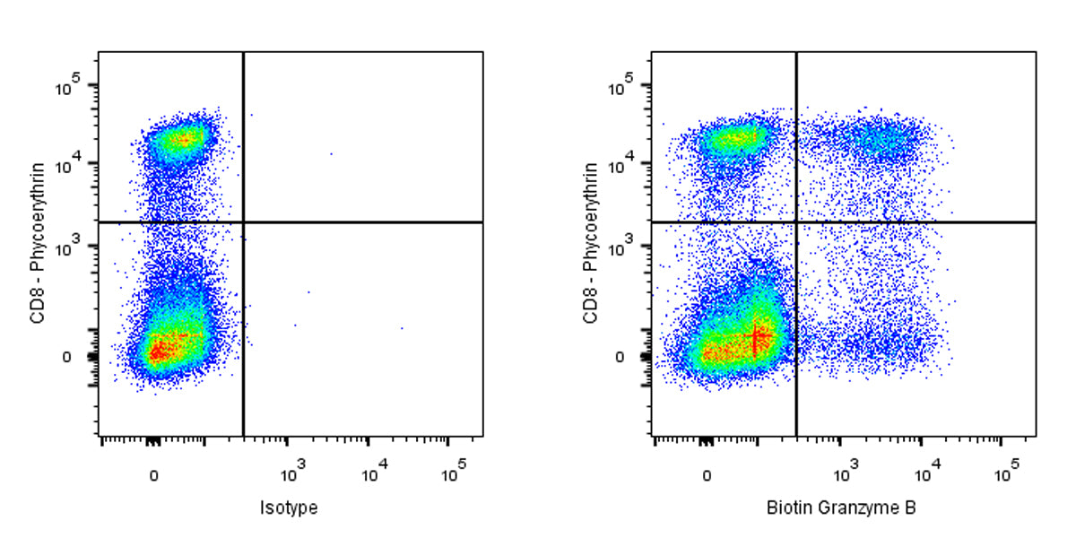 Biotin Mouse Anti-Human Granzyme B Antibody (S-3342)