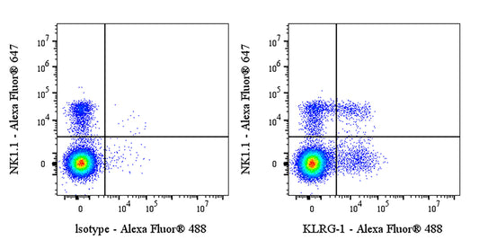 Syrian hamster Anti-Mouse/Human KLRG-1 Antibody (S-3757)