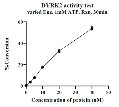 DYRK2 GST Tag Protein, Human