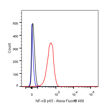 NF-κB p65 Recombinant Rabbit mAb (S-475-56)