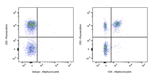 APC Rat Anti-Mouse CD4 Antibody (GK1.5)