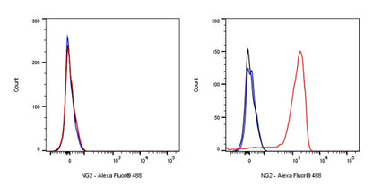 NG2 Chondroitin Sulfate Proteoglycan Recombinant Rabbit mAb (S-1233-25)