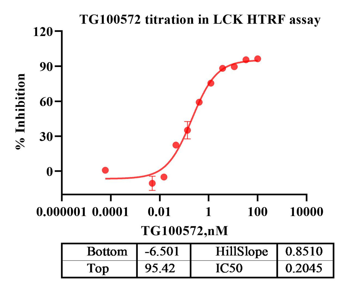 LCK Protein