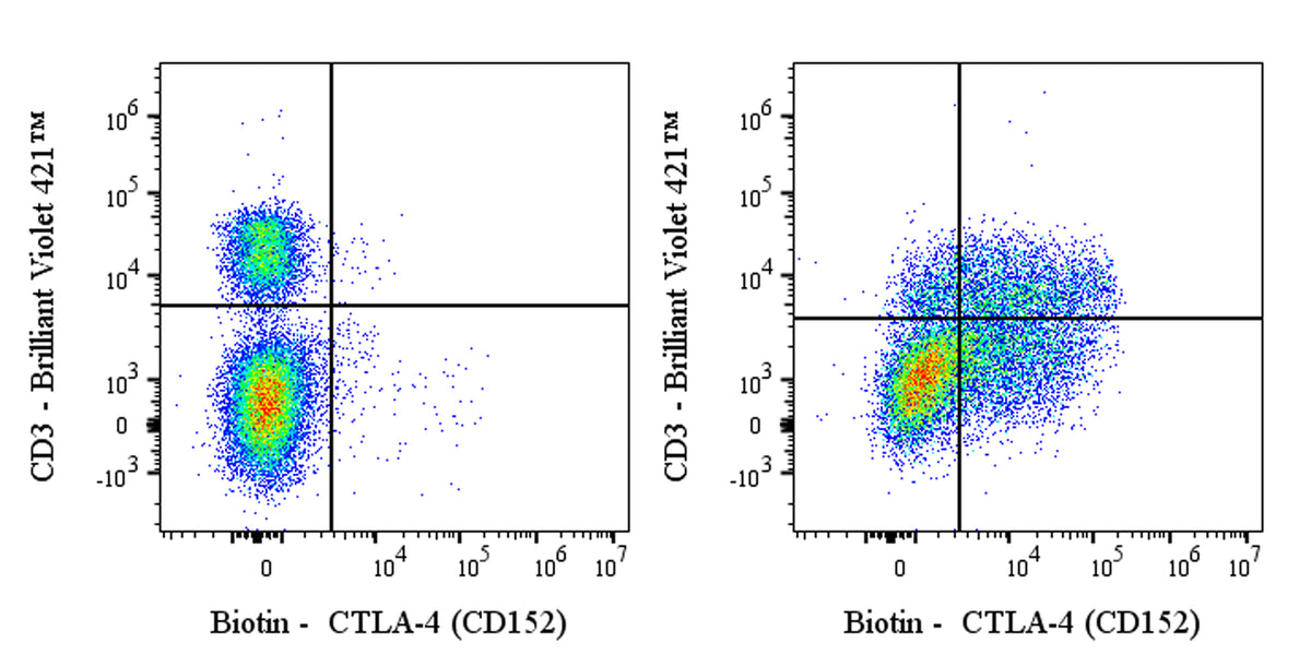 Biotin Armenian hamster Anti-Mouse CTLA-4 (CD152) Antibody (UC10-4F10-11)
