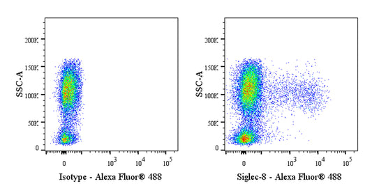 Alexa Fluor® 488 Mouse Anti-Human Siglec-8 Antibody (S-4479)