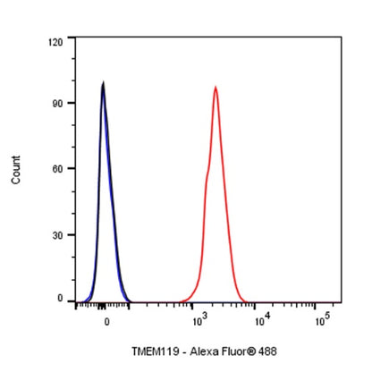 TMEM119 Recombinant Rabbit mAb (S-1040-14)