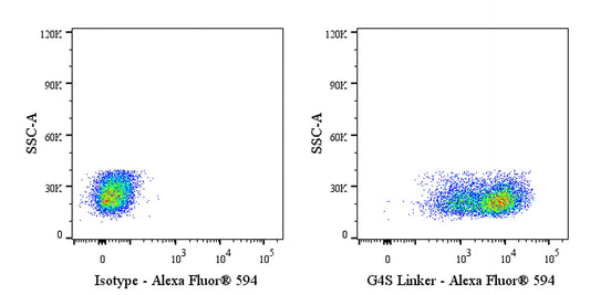 G4S Linker Recombinant Rabbit mAb (Alexa Fluor® 594 Conjugate) (S-711-23)