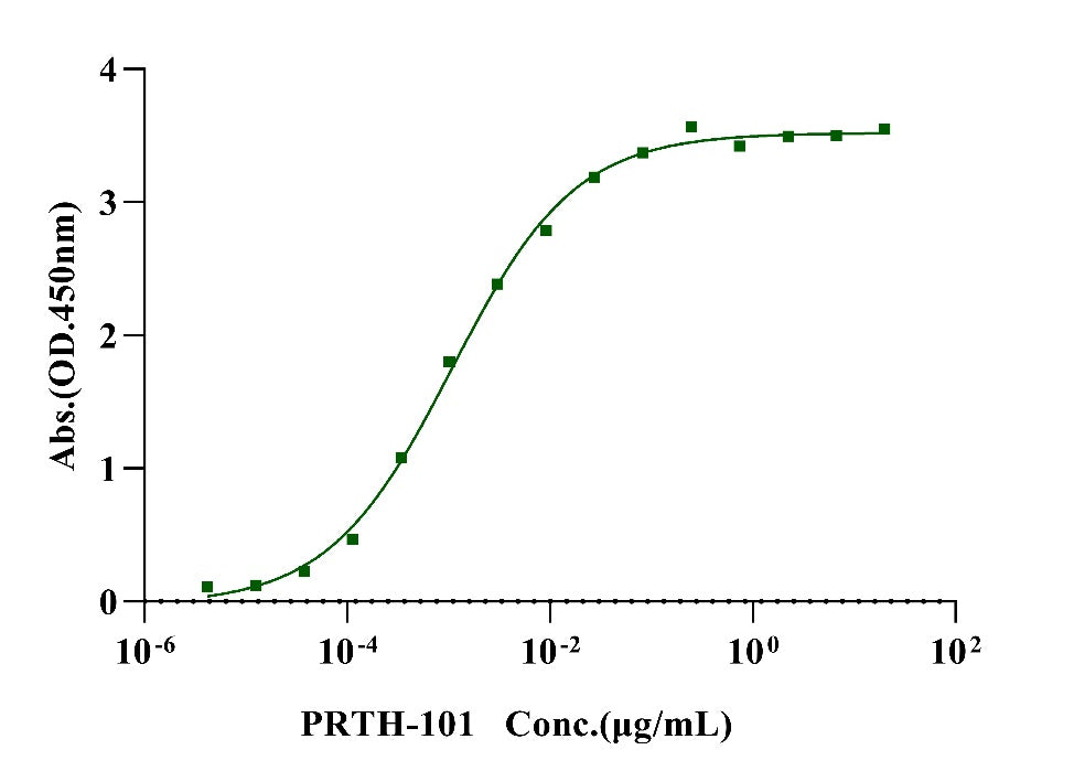 DDR1 His Tag Protein, Rhesus macaque