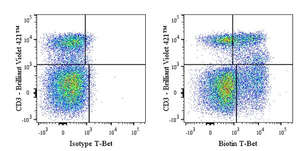 Biotin Mouse Anti-Human/Mouse T-Bet Antibody (S-4477)