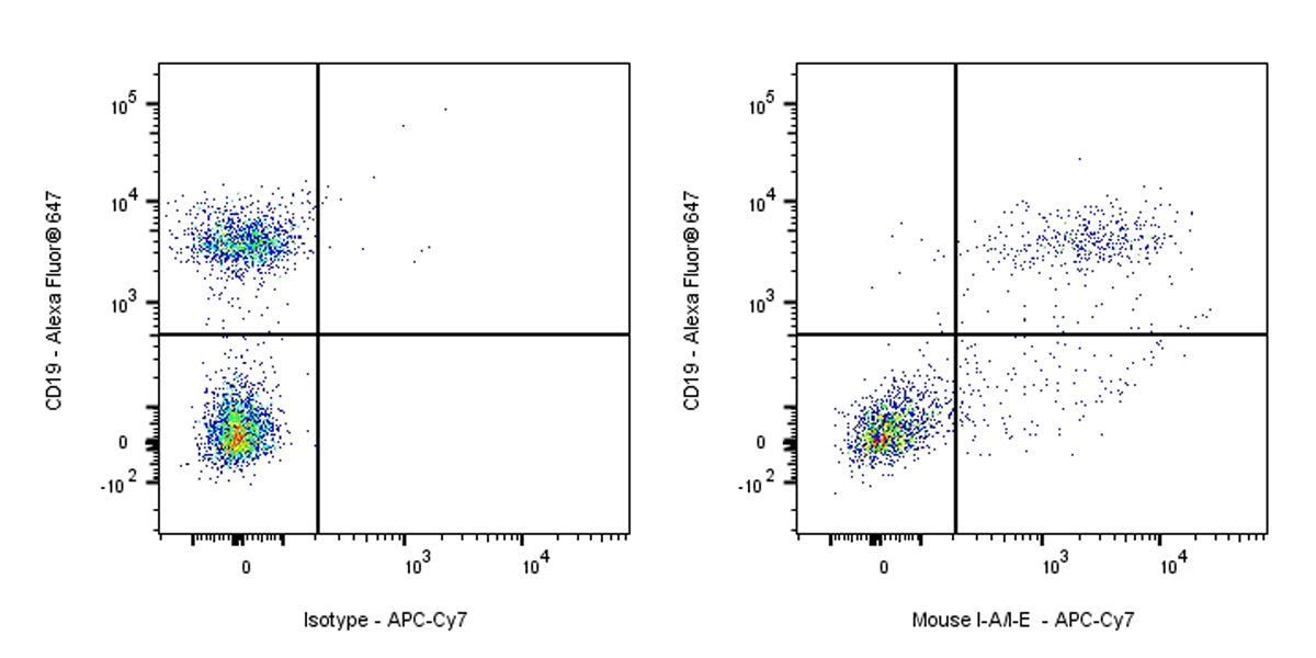 APC-Cy7 Rat Anti-Mouse I-A/I-E Antibody (M5/114.15.2)