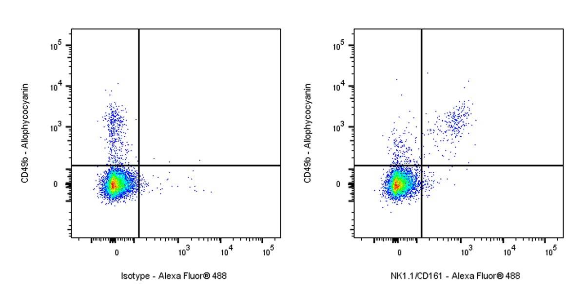 Alexa Fluor® 488 Rabbit Anti-Mouse NK1.1/CD161 Antibody (S-428-32)