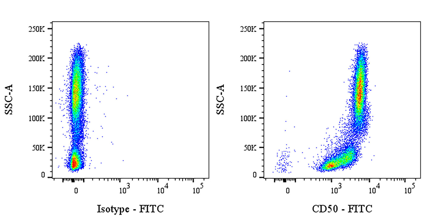 FITC Mouse Anti-Human CD50 Antibody (S-4993)
