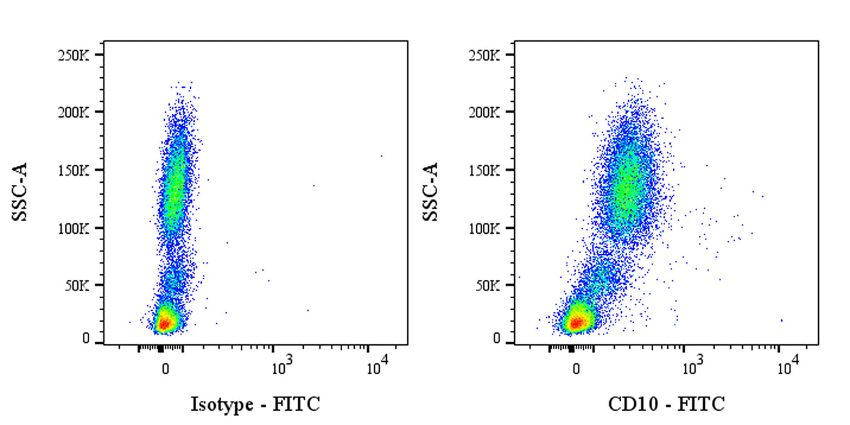 FITC Mouse Anti-Human CD10 Antibody (HI10a)