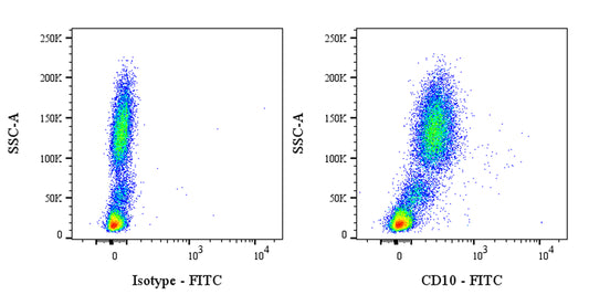 FITC Mouse Anti-Human CD10 Antibody (HI10a)
