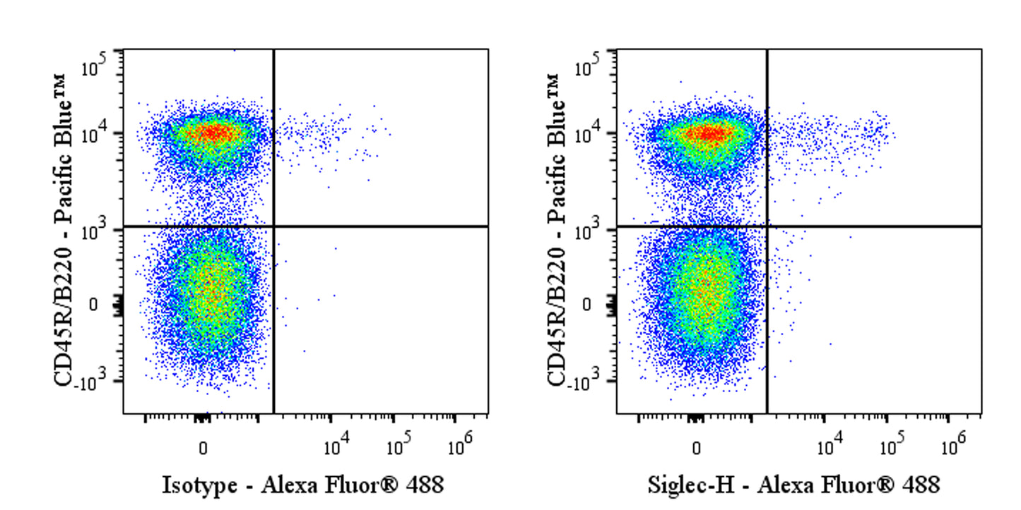 Invivo anti-Mouse Siglec-H Recombinant mAb