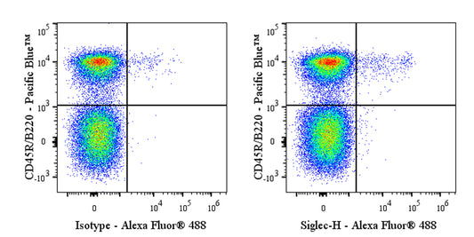 Invivo anti-Mouse Siglec-H Recombinant mAb
