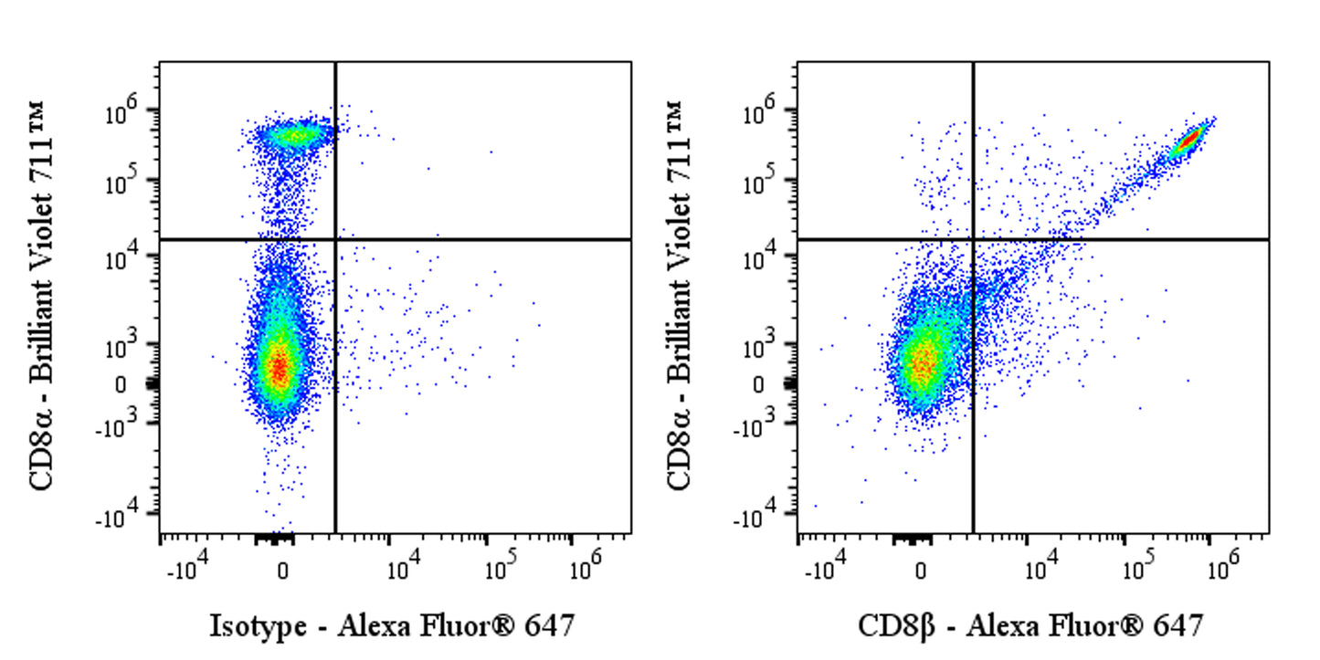 Alexa Fluor® 647 Rat Anti-Mouse CD8β Antibody (53-5.8)