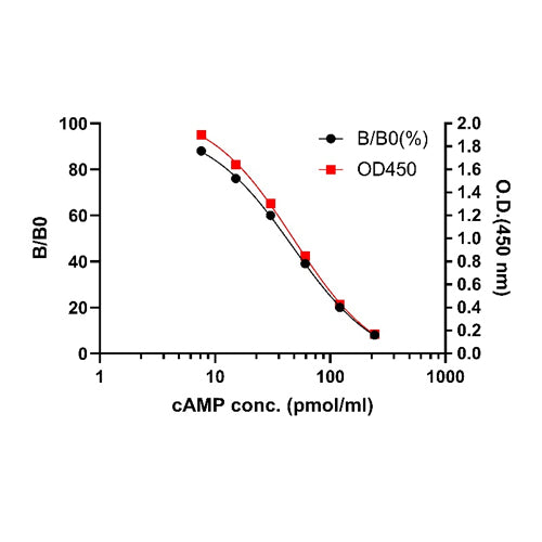 cAMP OneStep competitive ELISA Kit