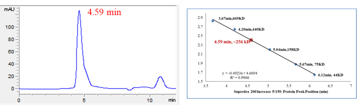 AKT1 (E17K) GST Tag Protein, Human