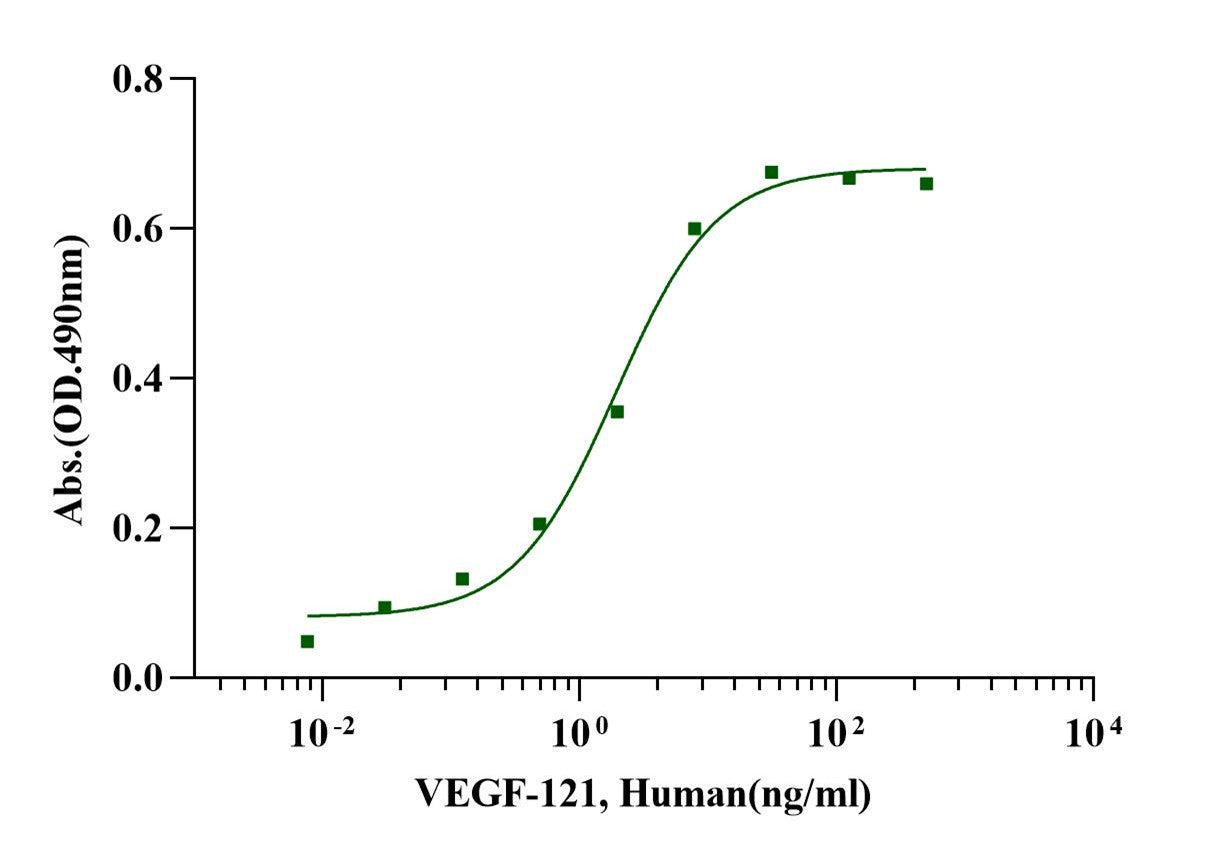 VEGF-121 Protein, Human