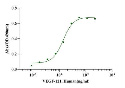 VEGF-121 Protein, Human