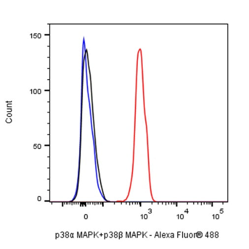p38α MAPK+p38β MAPK Recombinant Rabbit mAb (S-1300-102)