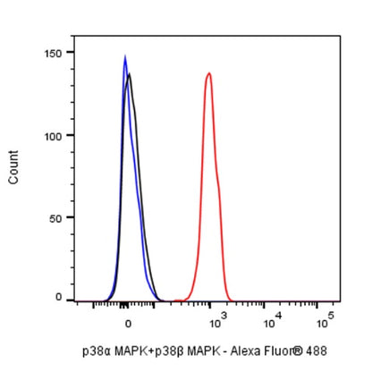 p38α MAPK+p38β MAPK Recombinant Rabbit mAb (S-1300-102)