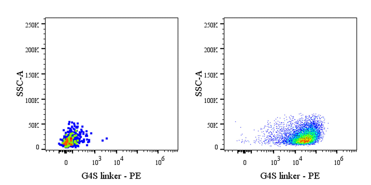 G4S Linker Recombinant Rabbit mAb (PE Conjugate) (S-5030)
