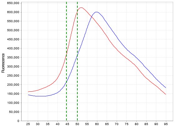 TEAD4(YBD), His Tag Protein