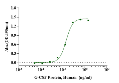 G-CSF Protein, Human