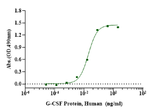 G-CSF Protein, Human