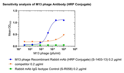 M13 phage Recombinant Rabbit mAb (HRP Conjugate) (S-1403-13)