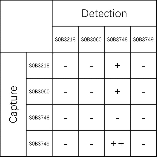 Tau Recombinant Rabbit mAb (SDT-3699-162)