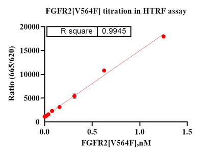 FGFR2[V564F] Protein