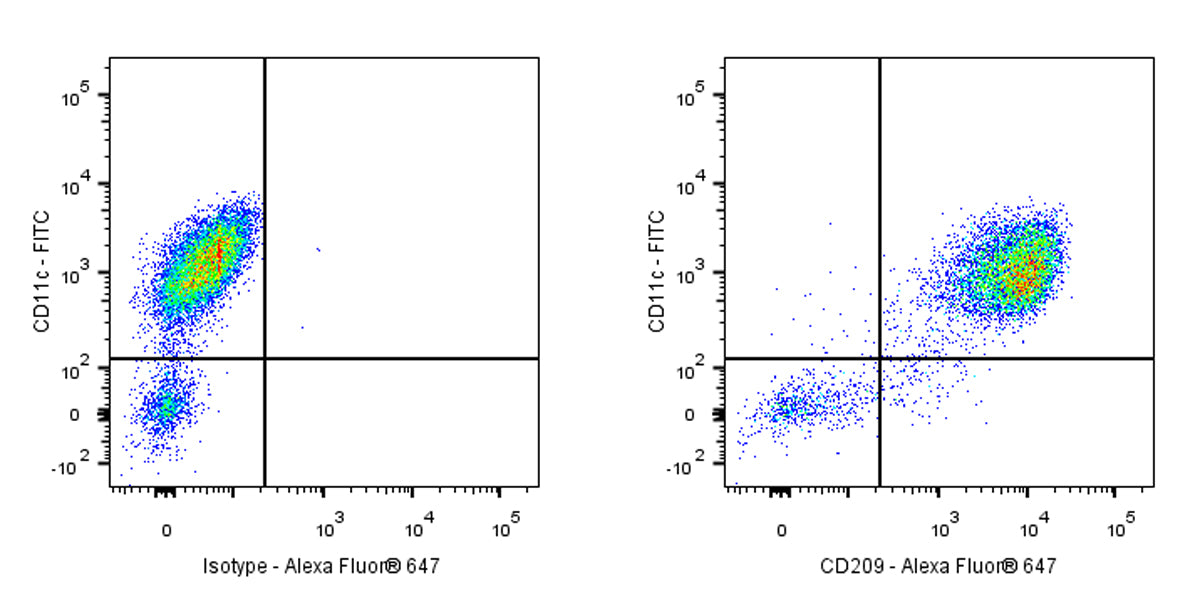 Mouse Anti-Human CD209 Antibody (S-2881)