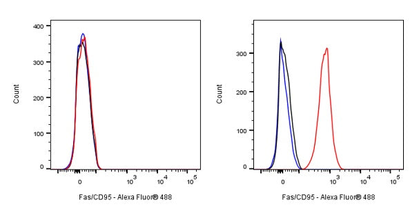Fas/CD95 Recombinant Rabbit mAb (S-1468-66)