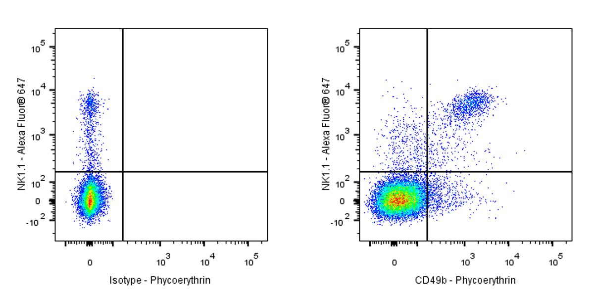PE Rat Anti-Mouse CD49b Antibody (DX5)