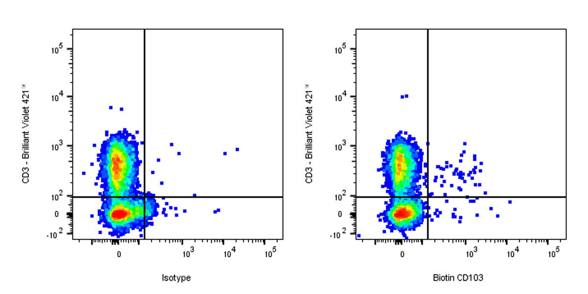Biotin Mouse Anti-Human CD103 Antibody (Ber-ACT8)