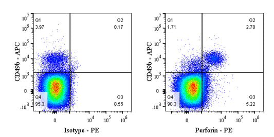 PE Rat Anti-Mouse Perforin Antibody (S-R644)