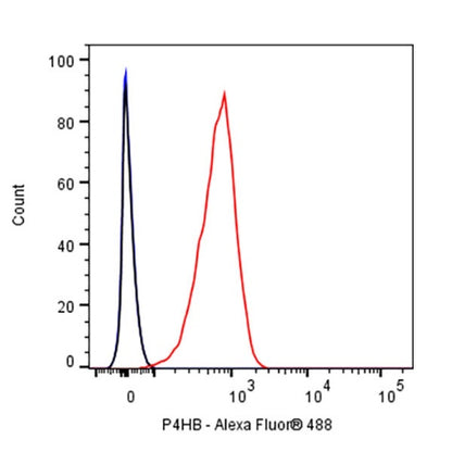 P4HB Recombinant Rabbit mAb (S-1524-120)