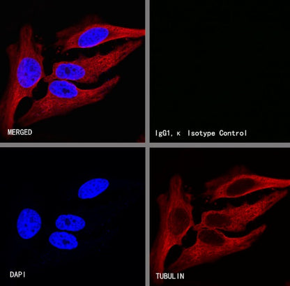 Mouse mAb IgG1, κ Isotype Control (S-844-79)