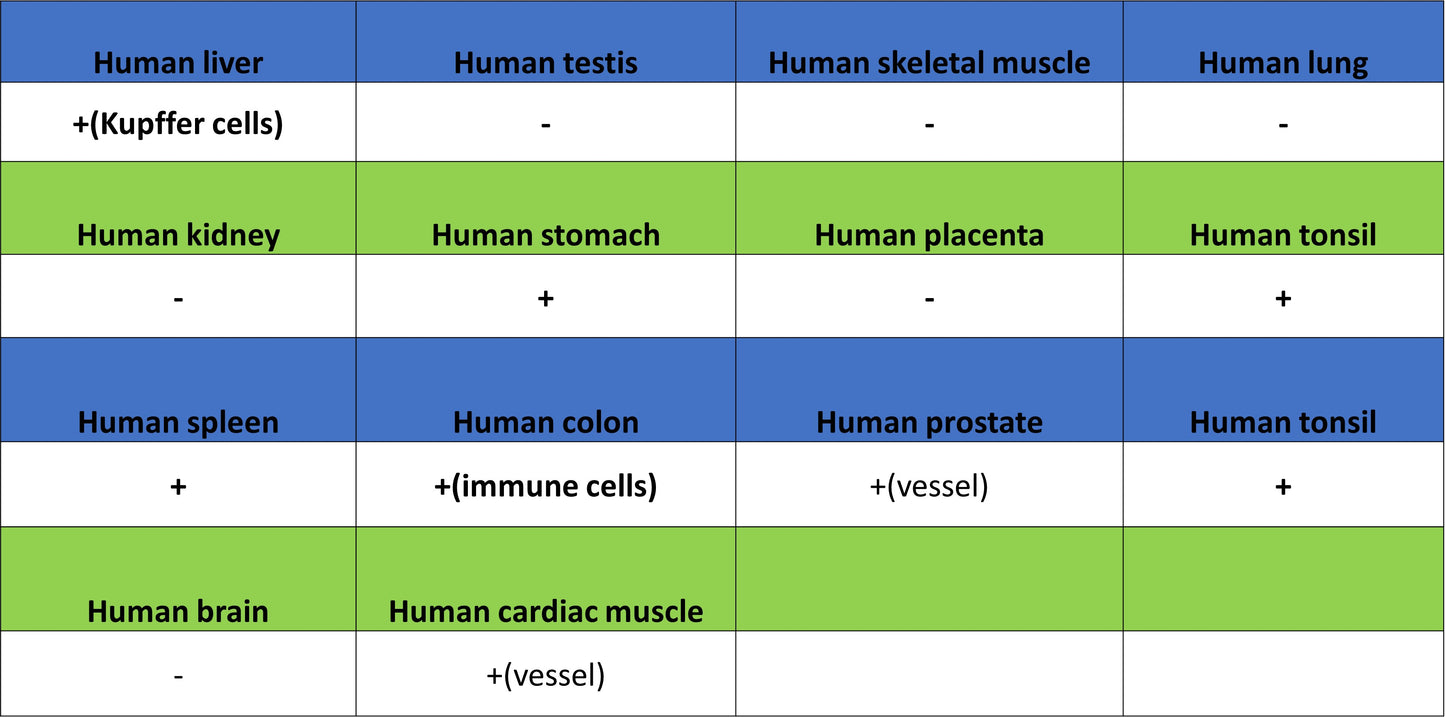 ADA Recombinant Rabbit mAb (S-5470)