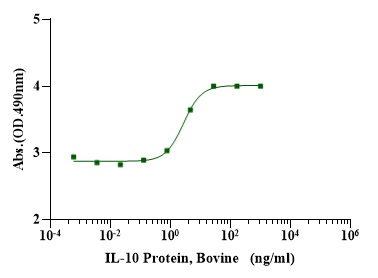 IL-10 Protein, Bovine