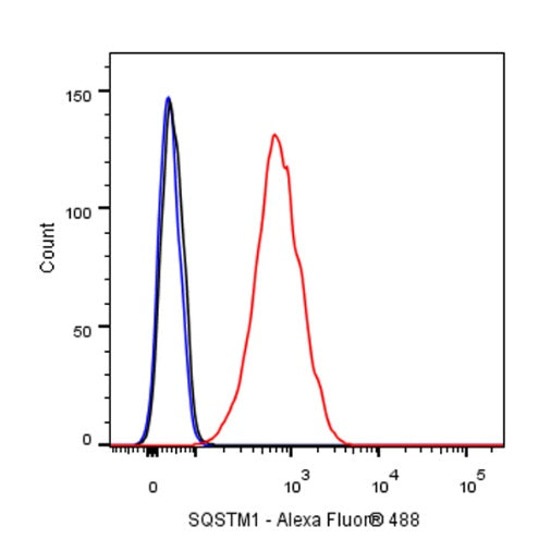 SQSTM1/p62 Recombinant Rabbit mAb (S-778-1)